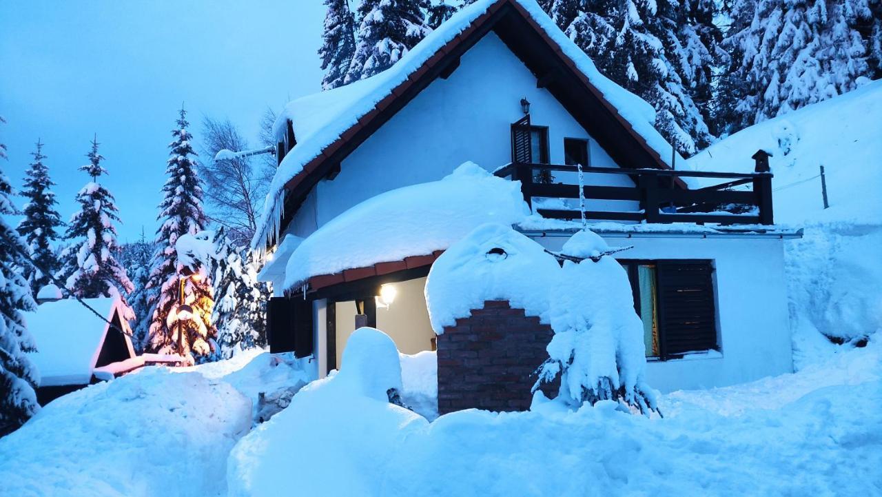 Uki & Sofi Mountain House Hotel Kopaonik Exterior photo