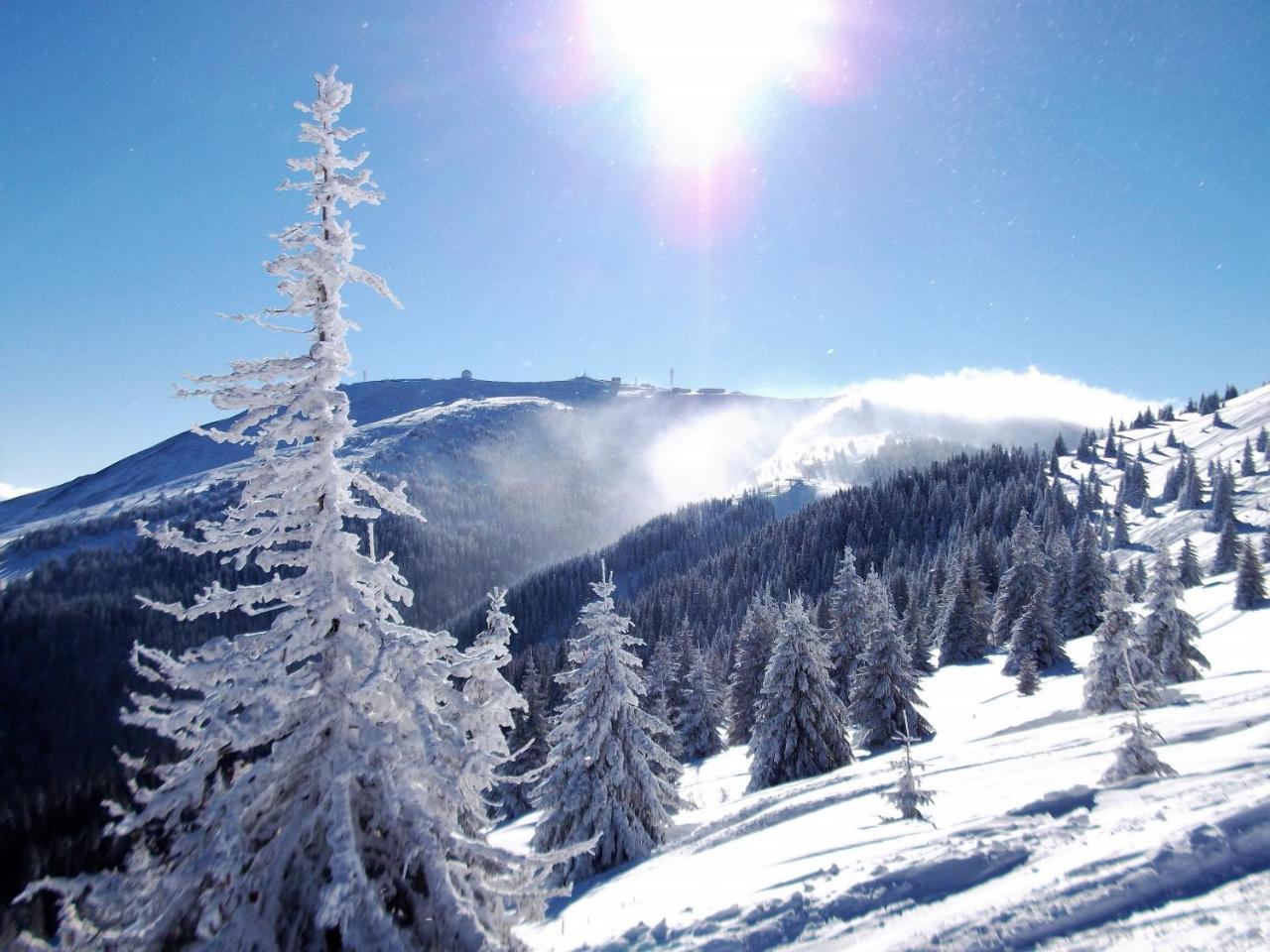 Uki & Sofi Mountain House Hotel Kopaonik Exterior photo